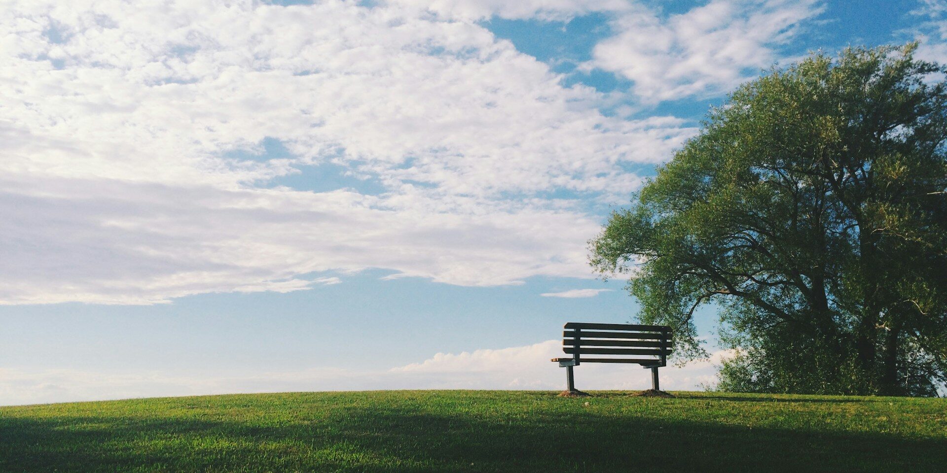 noah-silliman-EBB45rCSjrU-unsplash (1)
